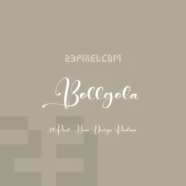 Bollgota