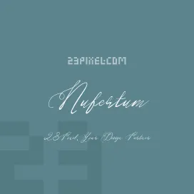 Nufertum