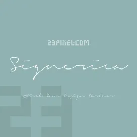 Signerica