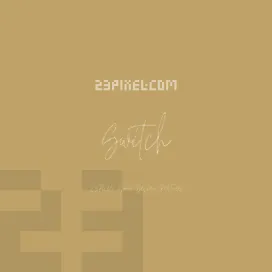 Switch