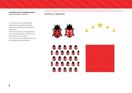 Argentinos Juniors 2013