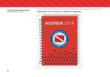 Argentinos Juniors 2013