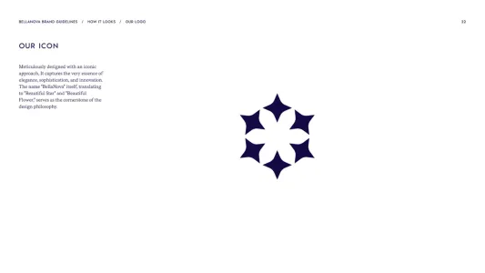 Bella Nova Clinic Brand Guidelines