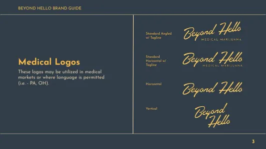 Beyond Hello Brand Guidelines