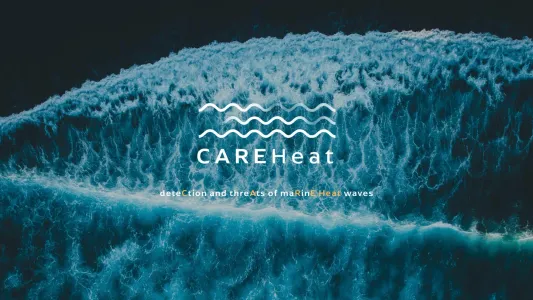 Careheat