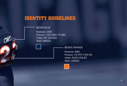 Chicago Bears – Nfl