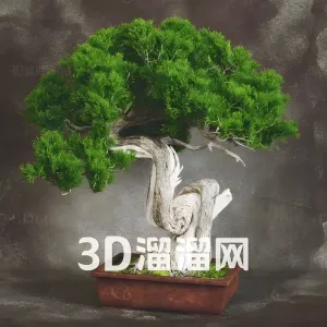 Bonsai