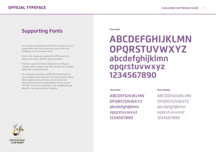 European Rugby Challenge Cup