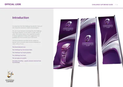 European Rugby Challenge Cup