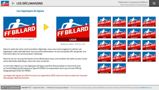 Fédération Française De Billard