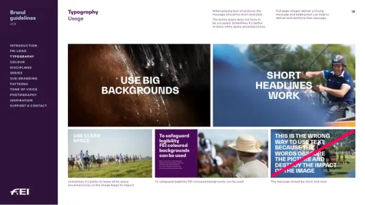 Fédération Équestre e