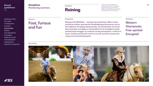 Fédération Équestre e