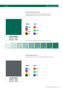 Libanese American University 2011