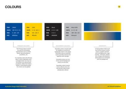 N Dragon Boat Federation