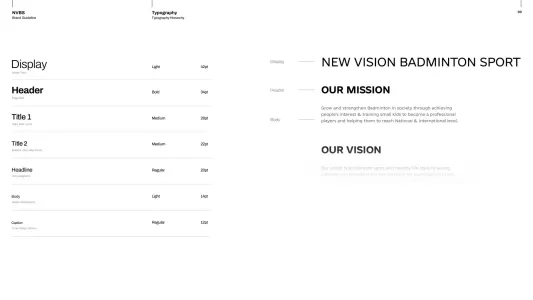 New Vision Badminton Sport