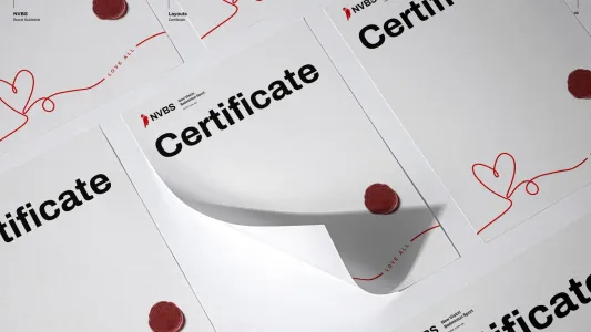 New Vision Badminton Sport