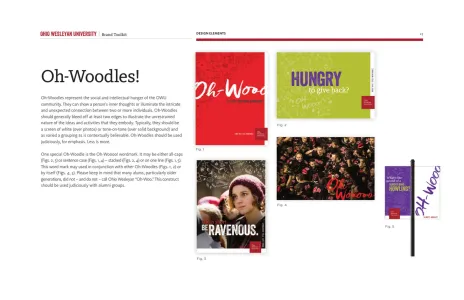 Ohio Wesleyan University