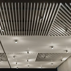 False ceiling rack