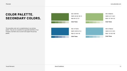 Plexistab Brand Guidelines