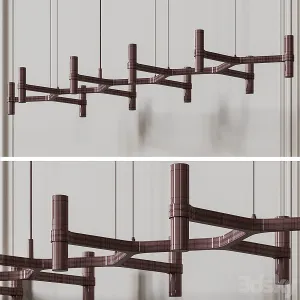 Nemo crownlinea gold