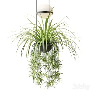 Pendant lamp palma by vibia