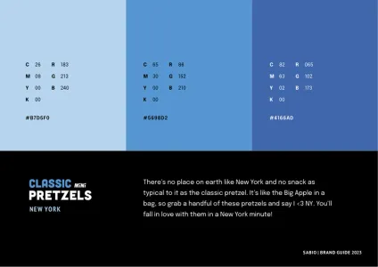 Sabio Brand Guidelines