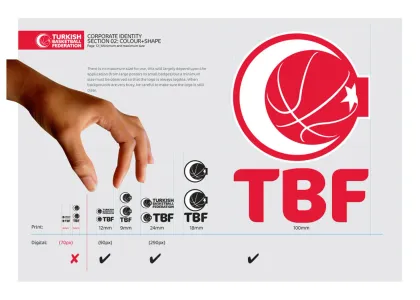 Turkish Basketball Federation 2012