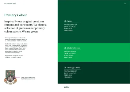 University of Limerick