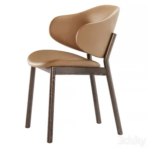 Holly chairs by calligaris