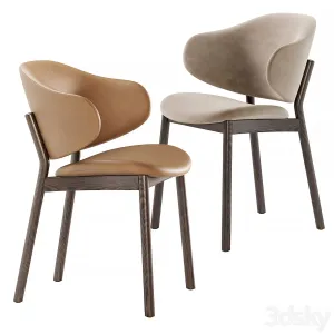 Holly chairs by calligaris