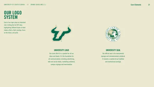 University of South Florida