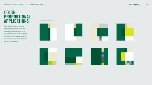 University of South Florida