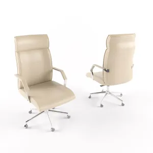 Executive office chair