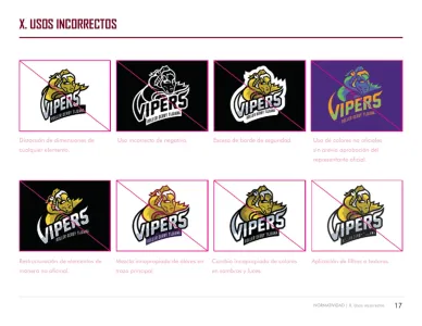 Vipers Roller Derby Tijuana