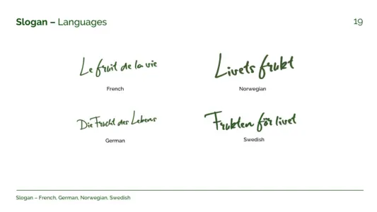 World Avocado Organization