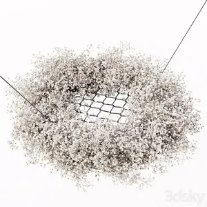 Chandelier Gypsophila