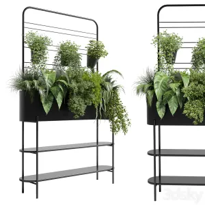 Collection Indoor plant