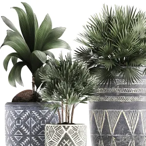 Collection of small plants in ethnic