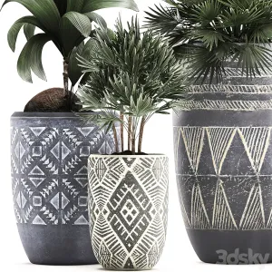 Collection of small plants in ethnic