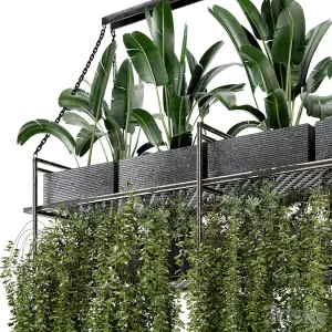 Indoor Hanging Plants in Metal Box Set
