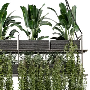 Indoor Hanging Plants in Metal Box Set