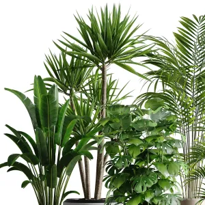 Indoor plant set