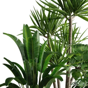 Indoor plant set