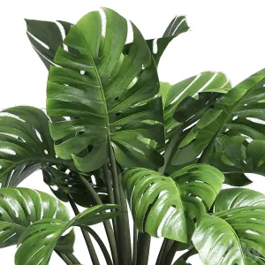 Indoor plant wood vase pot plant monstera