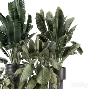 Indoor Plants in Ferm Living Bau Pot Large Set