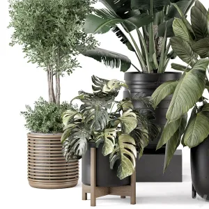 Indoor Plants in Ferm Living Bau Pot Large Set