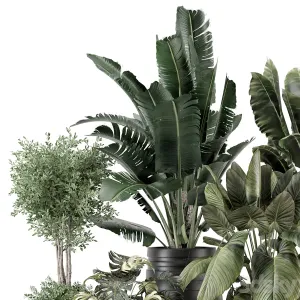 Indoor Plants in Ferm Living Bau Pot Large Set