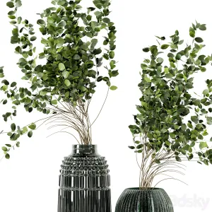 Indoor Plants In Handmade Glass Pot Set