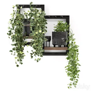 Indoor Plants in rusty Concrete Pot Set