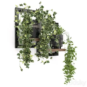 Indoor Plants in rusty Concrete Pot Set